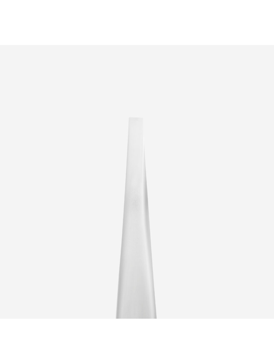 Staleks Pro EXPERT 10 TYPE 2 Eyebrow Tweezers | Janelle